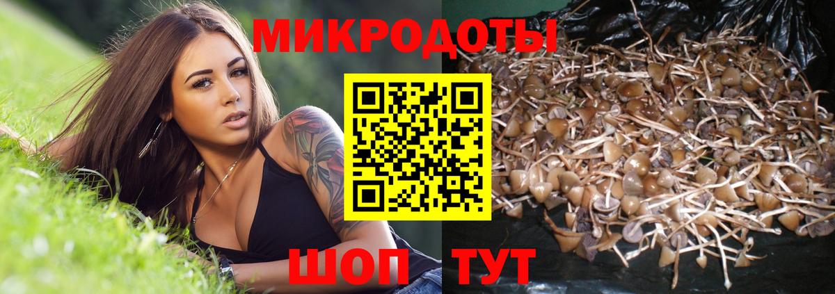 Галлюциногенные грибы мухоморы  Псилоцибиновые грибы MAGIC MUSHROOMS  Вход с VPN  Димитровград 